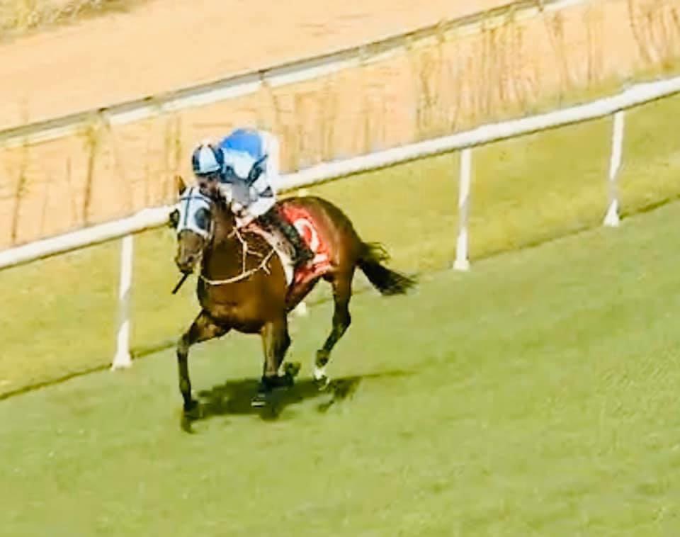 Racing at <a href="/ThoroughbredPk/">Thoroughbred Park</a> Canberra today with Akeed in race 6 and Globalize in the last. Best of luck to everyone involved