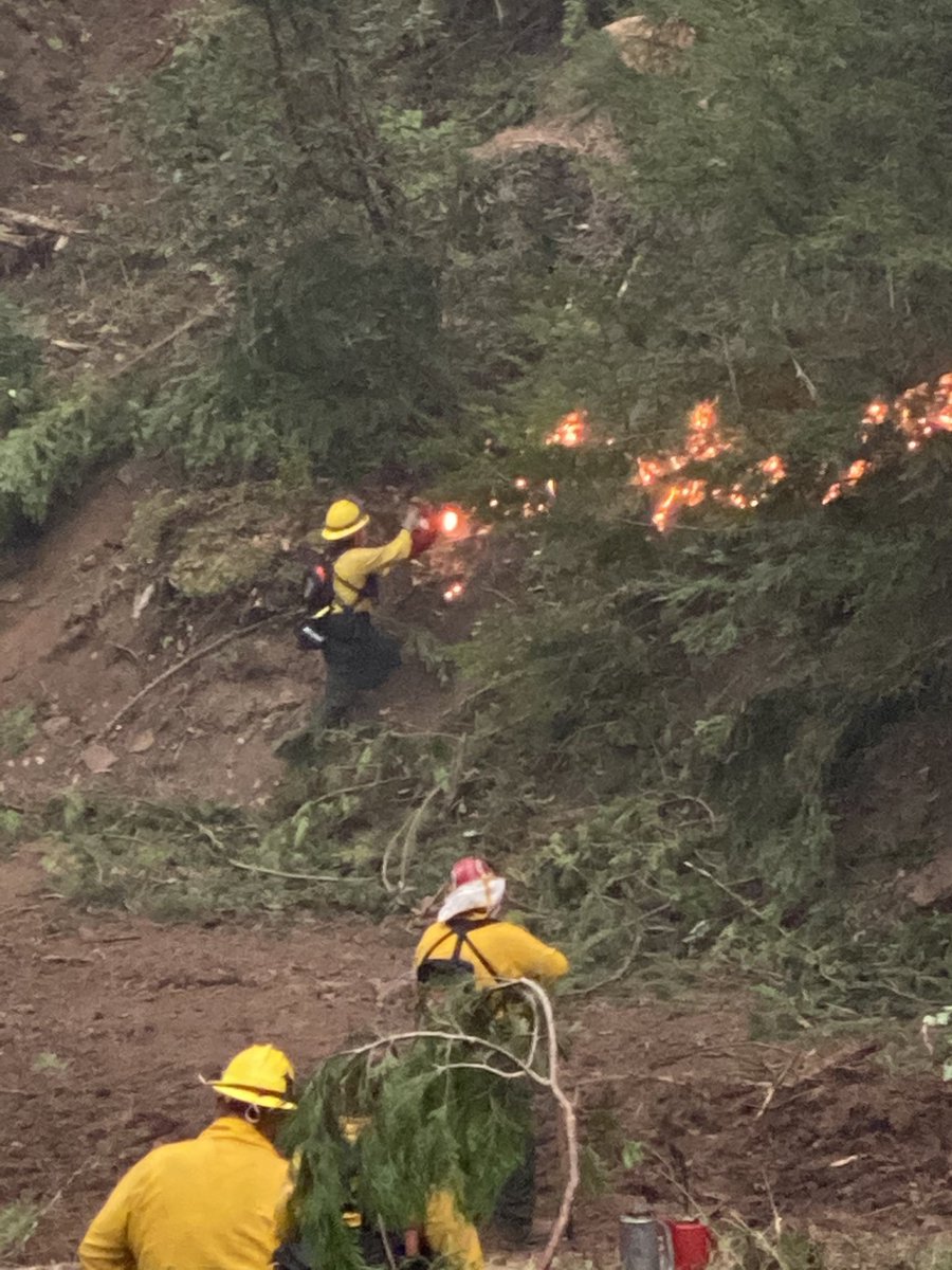 Here’s what our guys in NTFD Brush611 are seeing in Oregon today.  #OregonFires2020 #OregonIsBurning