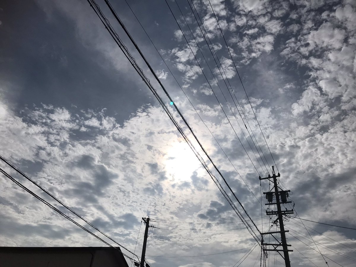 今日も雲が多めのお天気
蒸し暑いですが秋を感じる空気感

おはようございます
今日も穏やかな1日になりますように