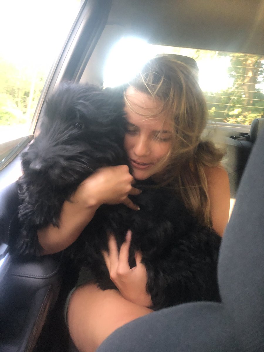 brookklynn_'s tweet photo. Moo moo makes me want 10 miniature scotties https://t.co/4S76zhyJ0h