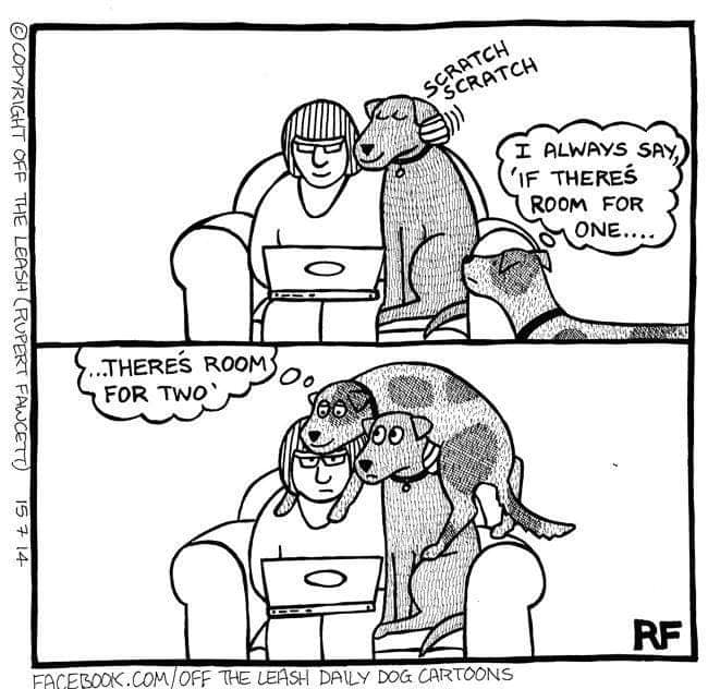 keepyourspanky's tweet photo. Anyone else have this same struggle?

#dogs #doglovers #servicedogs #keepyourspanky #makesomeroom #Veterans https://t.co/KqmENBZsuZ