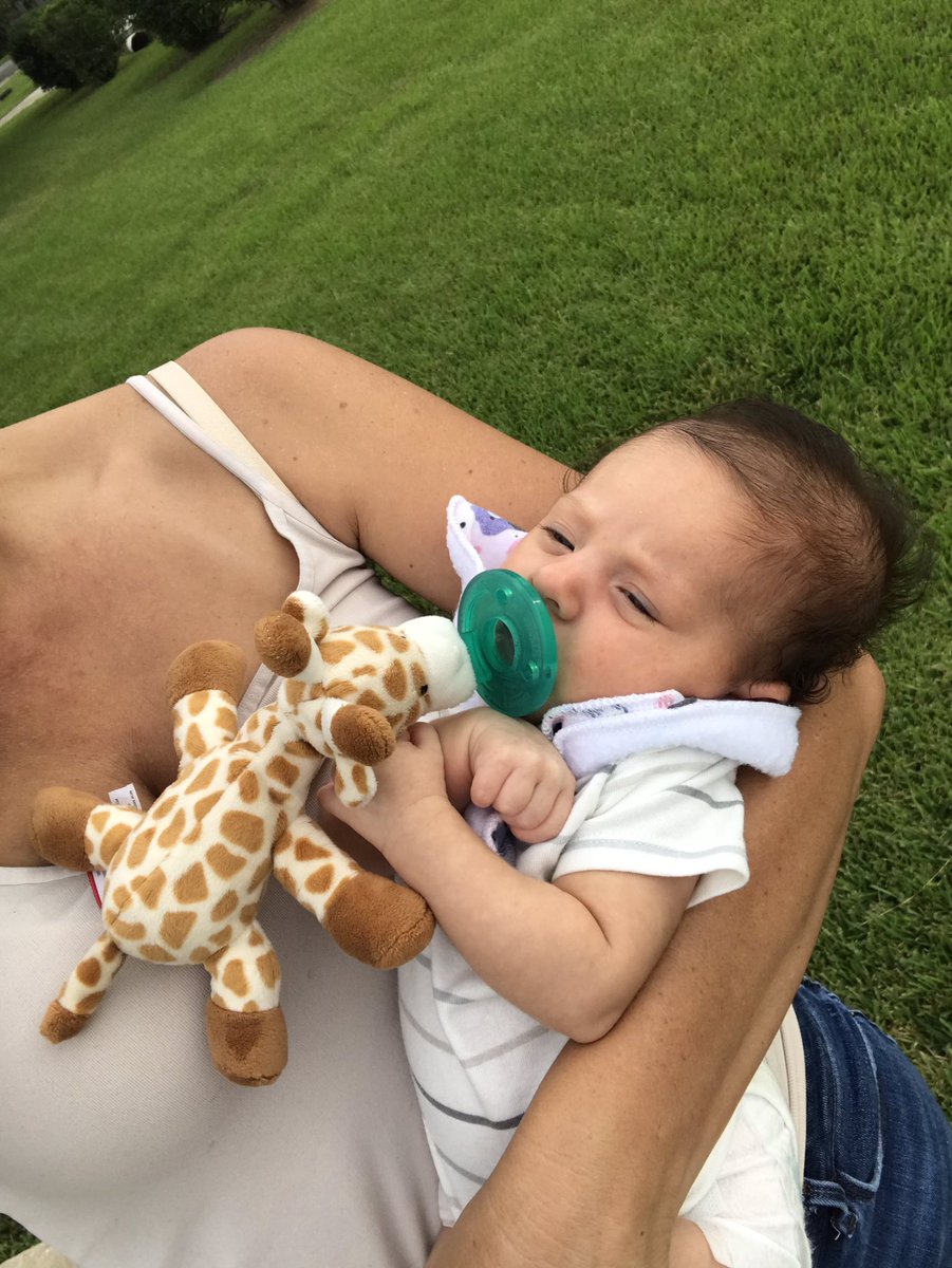 AEwing76's tweet photo. I was putting grades in the computer when I got this visitor. I stripped down to my undershirt, washed my hands and arms, and grabbed her. #lovesoutside #godchild 🥰🥰🥰 https://t.co/iKBYC7Wbaw