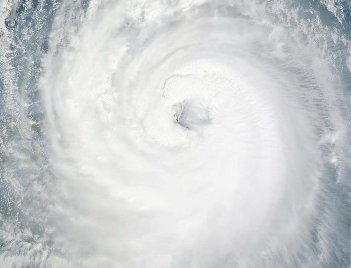 SP Tools USA tweet media