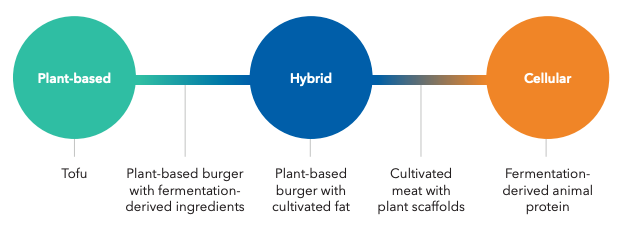 In symphony with  #cultivated and  #plantbased proteins, fermentation is helping to deliver the next wave of bio-mimicked, animal-free meat, eggs, and dairy! Leveraging the incredible diversity of microbes and technology platforms, the possibilities are endless. 2/6