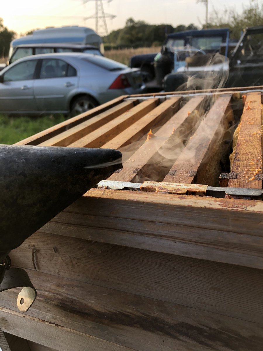 OldBills's tweet photo. This evening our bee keepers Roy and Jack were checking up on our apiaries, placing clearing boards and one way valves in anticipation of the honey harvest to come #bees #oldbillsbees #beekeeping 🐝🍯 https://t.co/ibZeQ89J2P