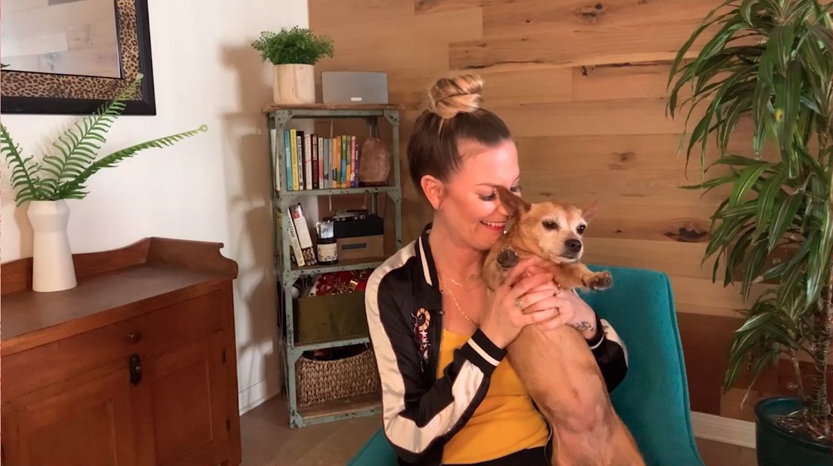 GirlCode's tweet image. My dog is sick of me by now. 😭🐶#2020Code @JessimaePeluso