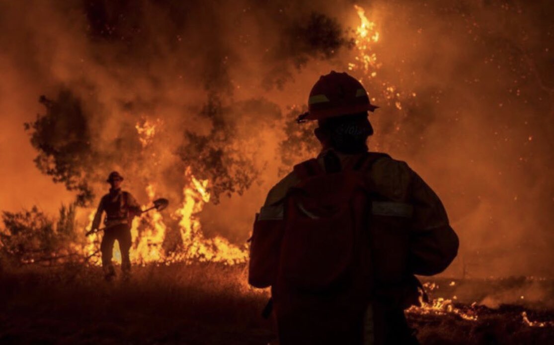 Immense gratitude for the men and women fighting fires around the world. Thank you for saving our lives, pets and planet. 📷 @photographNic