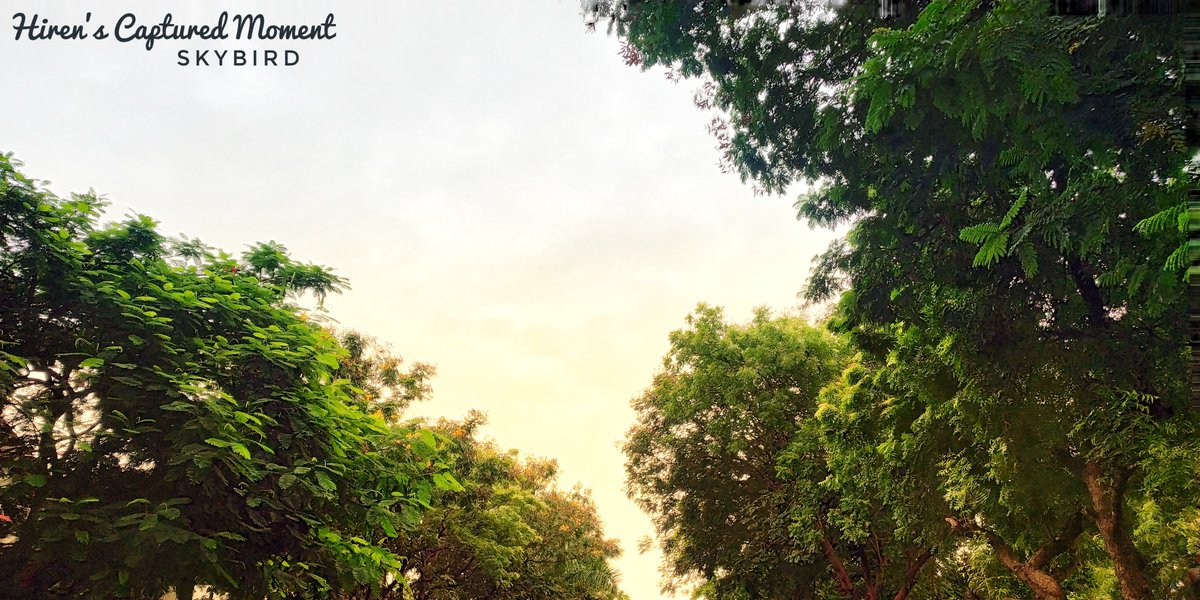 im8hiren's tweet image. @XiaomiIndia #RedmiNote5Pro #NaturePhotography #PureHelp #life