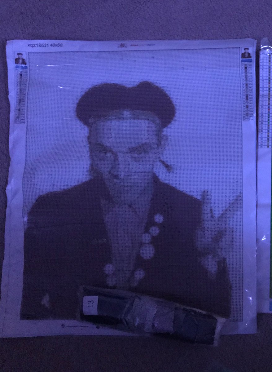 mayallfan's tweet photo. Great news! My #RikMayall #TheYoungOnes #DiamondPainting   Has finally arrived! I’m so excited to start this in memory of my favourite guy who always made me laugh growing up I still miss you so much rik I wish I had the chance to of met you 😭💕💕💕 https://t.co/JNN67X141Q
