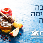 Photo by Online Judaic Studies Courses (@TheOJSC)