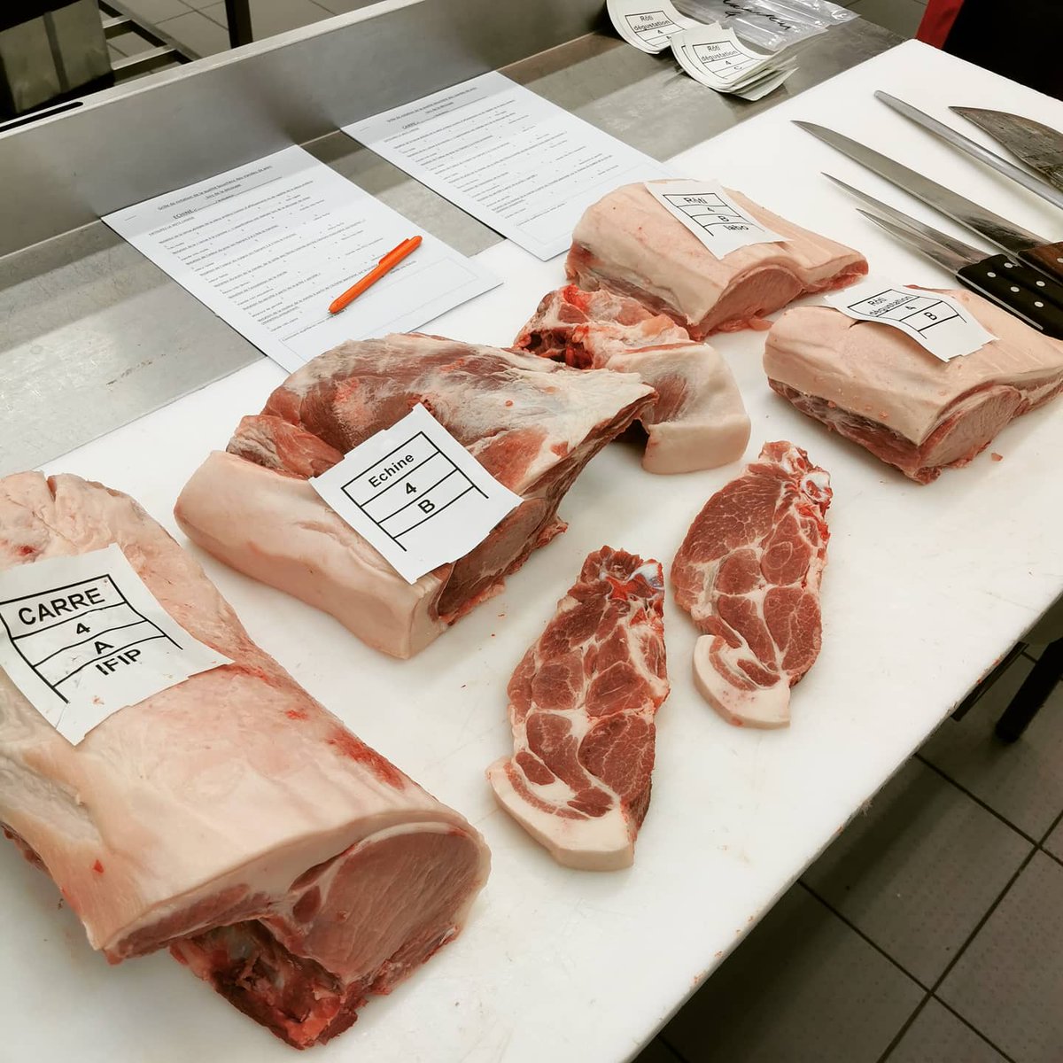 romain_leboeuf's tweet photo. Journée #studieuse à l'#Ecole #Nationale #Supérieure des #Métiers de la #Viande (#ENSMV) 😍
Coupes, #découpes, #cuissons et #dégustations à l'aveugle de différents #porcs pour faire avancer la #filière 🇫🇷
#RomainLBF #CFBCT #BoucherieFrançaise #FilièreFrançaise #FilièreEngagée https://t.co/jR0ynFojPQ