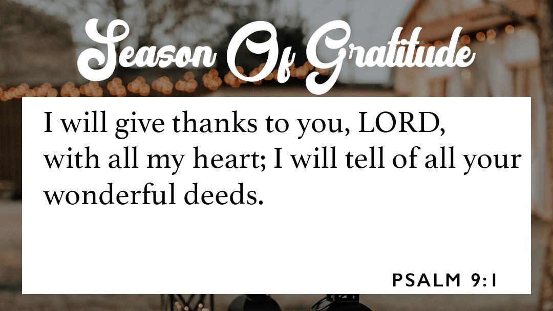 AspireForWomen's tweet photo. We are SO excited about our new series, 'Season Of Gratitude' were we will be LIVE on Facebook every Wednesday up until Nov. 23rd!🌻🍂 We hope you'll tune-in each week as we dive into GRATITUDE and what it can do for our hearts. #seasonofgratitude https://t.co/LGEcx4Z8Ei