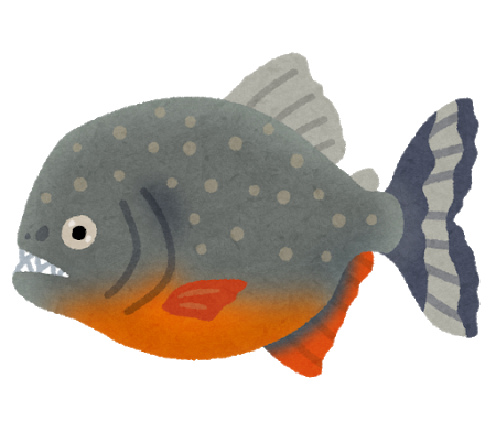 花園教会水族館 京都 日本屈指 世界の淡水魚190種 外来種問題啓発 国連アワード受賞 京博連加盟 オッハー 昨日の聖書どうぶつ図鑑の答え合わせです 南米原産ワニのカイマンの大好物の生き物は ピラニア カイマンはピラニア大好き ピラプタンガ