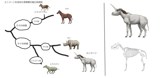 ユニコーン の人気がまとめてわかる 評価や評判 感想などを1時間ごとに紹介 ついラン