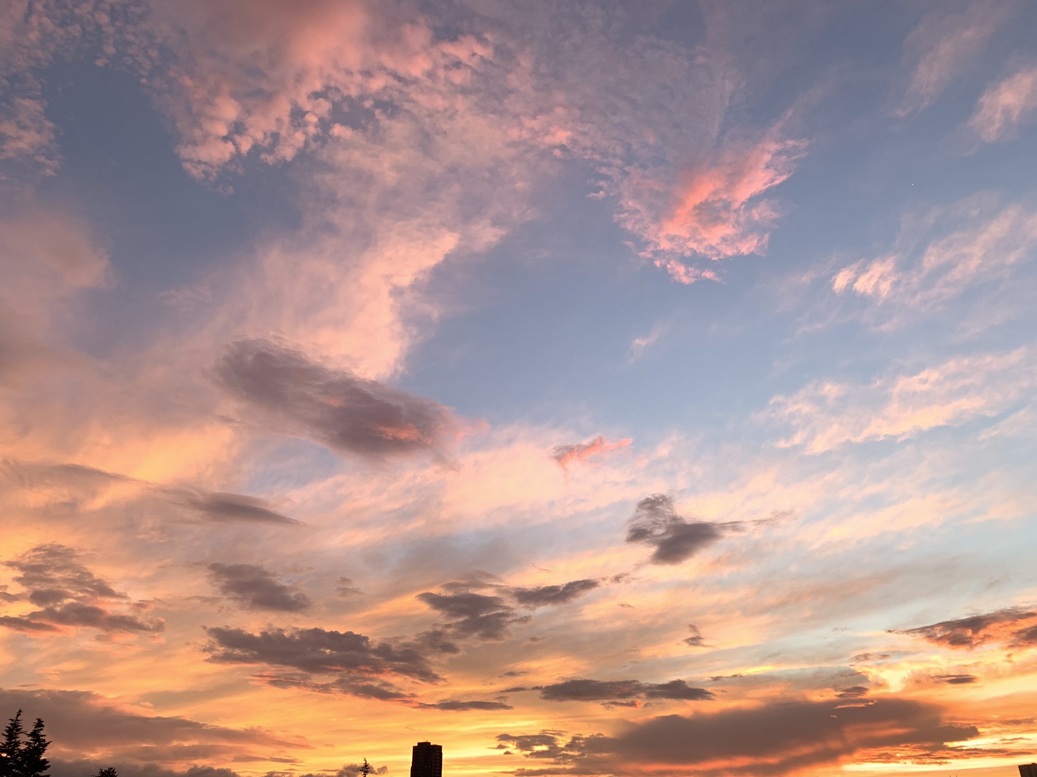 朝ジョグちゃん 日の出まえ 朝焼けが美しい 水色と桃色の朝空 イマソラ 朝焼け 朝空 空色 Pink T Co Ibonkkx2qm Twitter