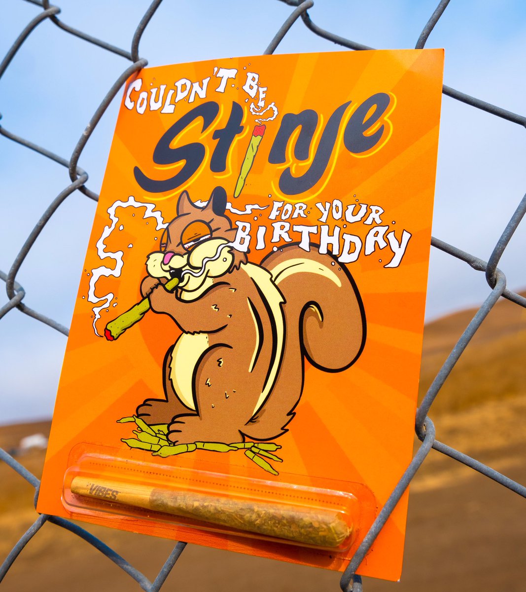 Blazin’ some 🔥 #Stinjeog in our NEW #420cardz! Shop 420cardz.com #Stinje #Vibes 💨 Drop us your favorite wildlife emoji!! 🌿🐿🐿