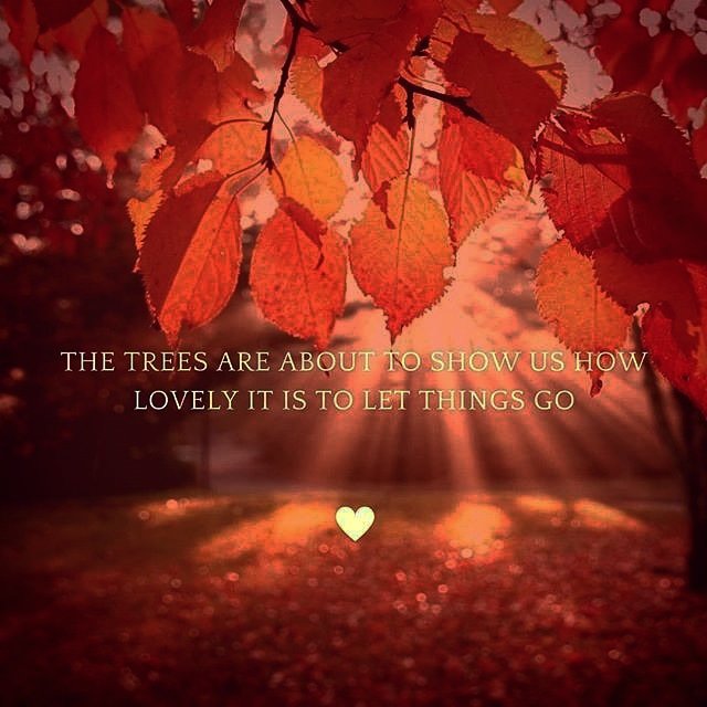 CSSHypnosis's tweet image. Autumn is a time of change. Of discarding the things we no longer need. Things that may have served us once, but as we grow and change we leave them behind. If you are ready to change, to leave things behind, I can help. ❤C