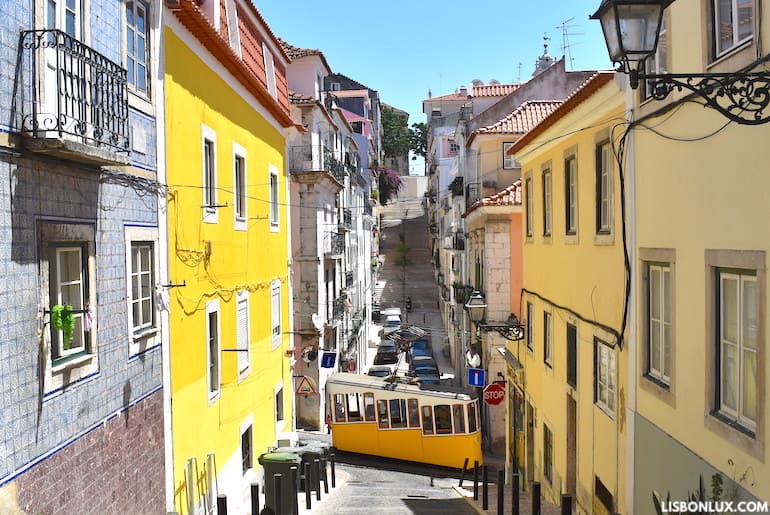 JorgeCarmo9's tweet photo. #Lisbon #VisitLisbon #Portugal #streets #neighborhoods #wanderlust 🏘️🚶‍♀️🪴⛪️🌉 THE 10 MOST BEAUTIFUL STREETS IN LISBON - River views, colorful buildings, #azulejos, tiles, #cobblestone designs... It can only be Lisbon. 😍 https://t.co/v70qrNCQqf https://t.co/XtgKqul24O