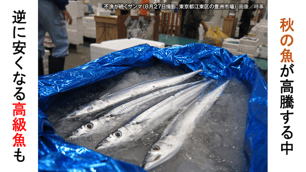 ウェザーニュース 今年は日本近海の海水温が高い影響で さんまや秋鮭といった秋を代表する魚の不漁が続いています 一方で たくさん獲れて価格が安くなっている魚もあるようです T Co 4vrqffmzx3