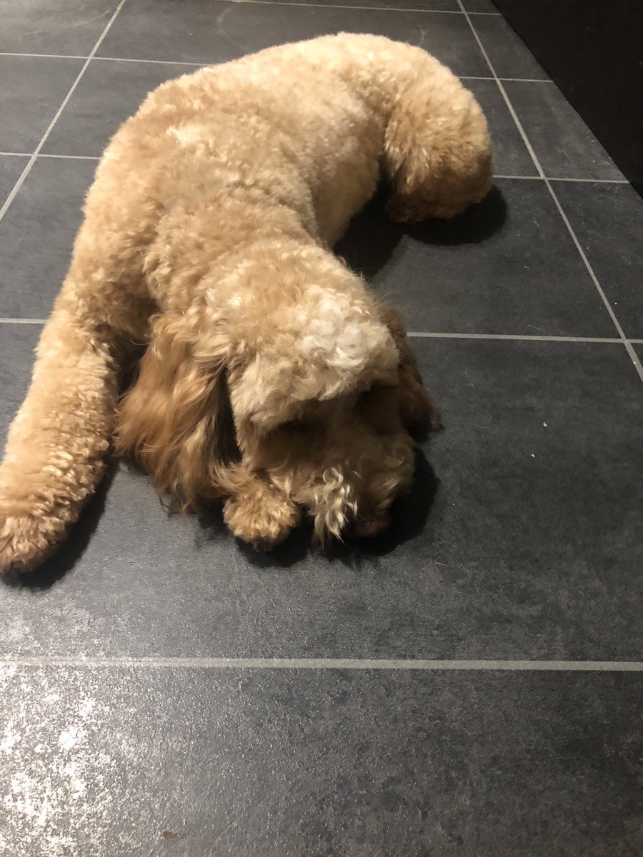 I’m baby sitting for a few days!! 🥰