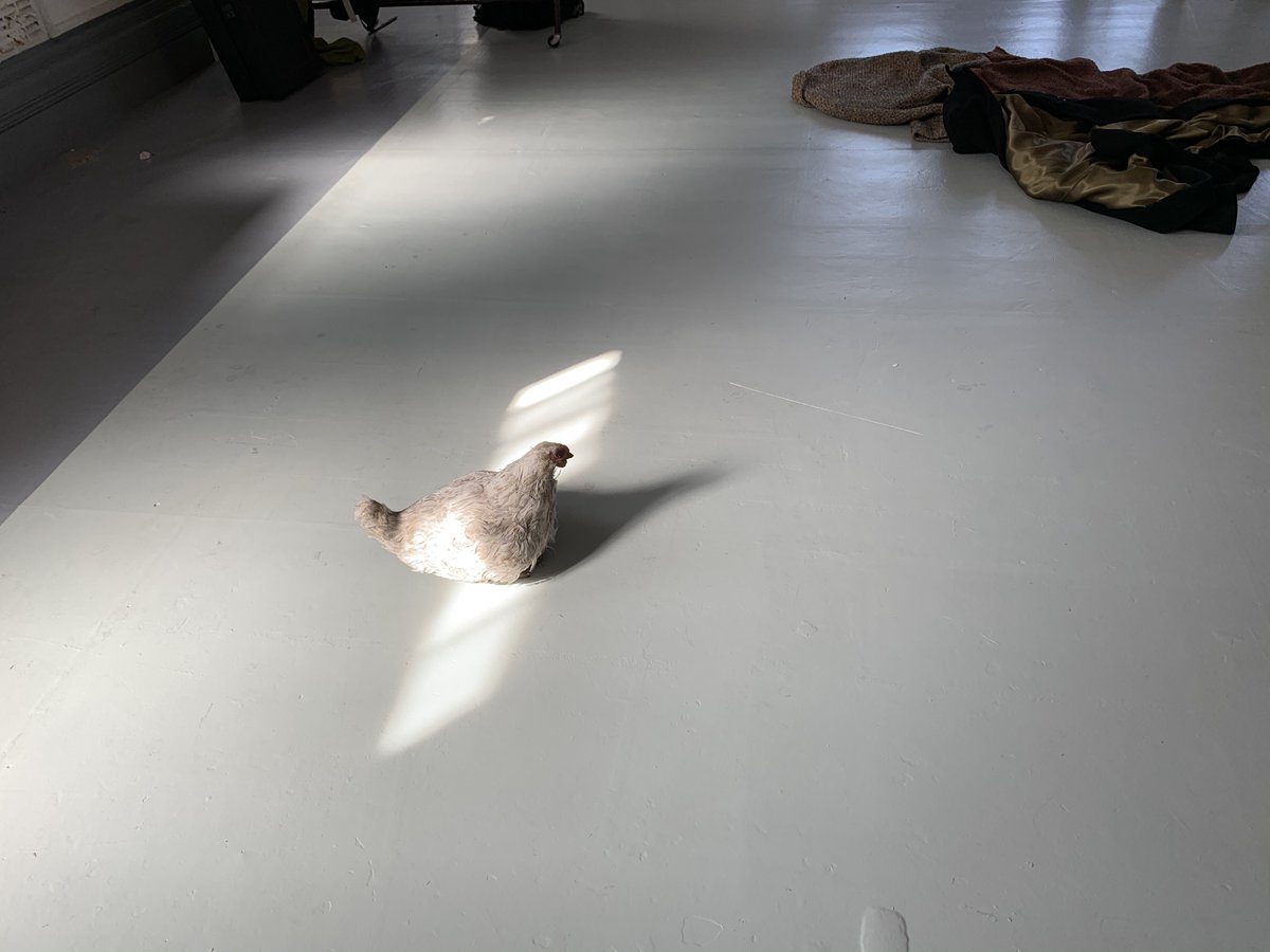 BrocJackTheatre's tweet photo. It's a wrap for 'Chicken' by #LinCoglan Our second short film for #Connect @BrocJackTheatre We look forward to sharing these online in October. Many thanks to creatives @ChantelleDusett @BrendanEORourke @traherne90 #SamBland & #LilyGrimes and @ace_national for their support https://t.co/vsOZxcQcNN