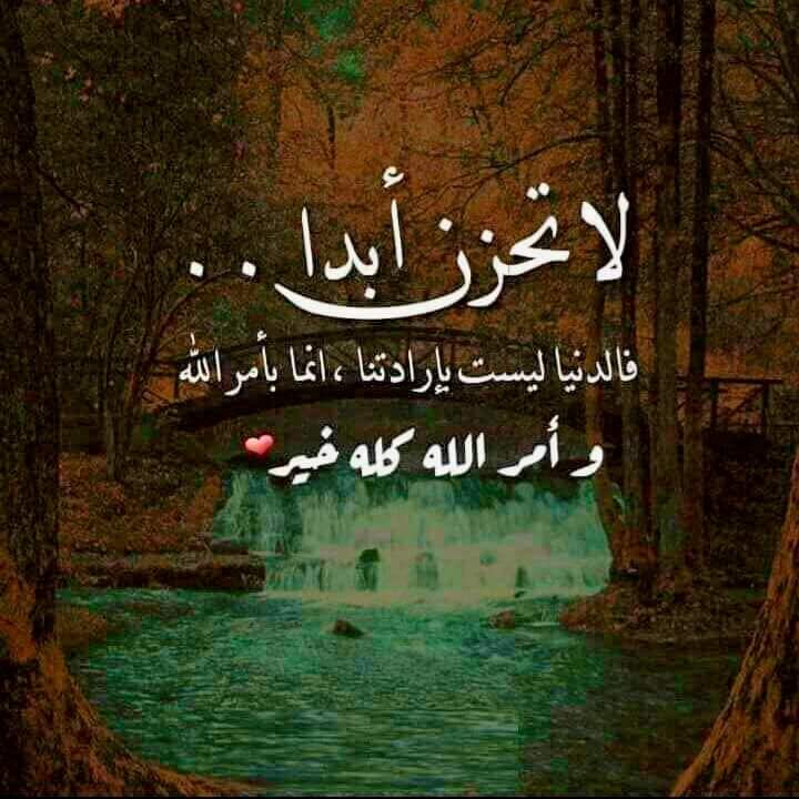 EiJWQ3wXcAA2NwU