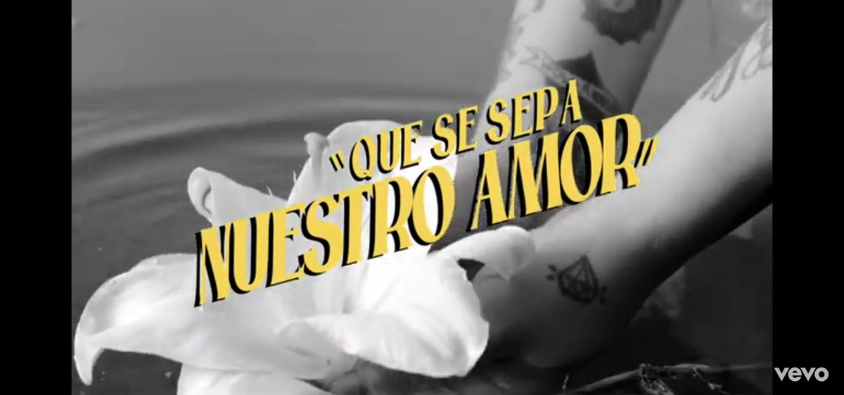 monlaferteqroo's tweet photo. ¡PERO QUE ARTEEE!
Este puede ser uno de los mejores videoclips de @monlaferte 😍🇲🇽

¡Ya disponible #QueSeSepaNuestroAmor en todas las plataformas digitales! @alexoficial #LaferteFernandez https://t.co/UVgtgYMLn3