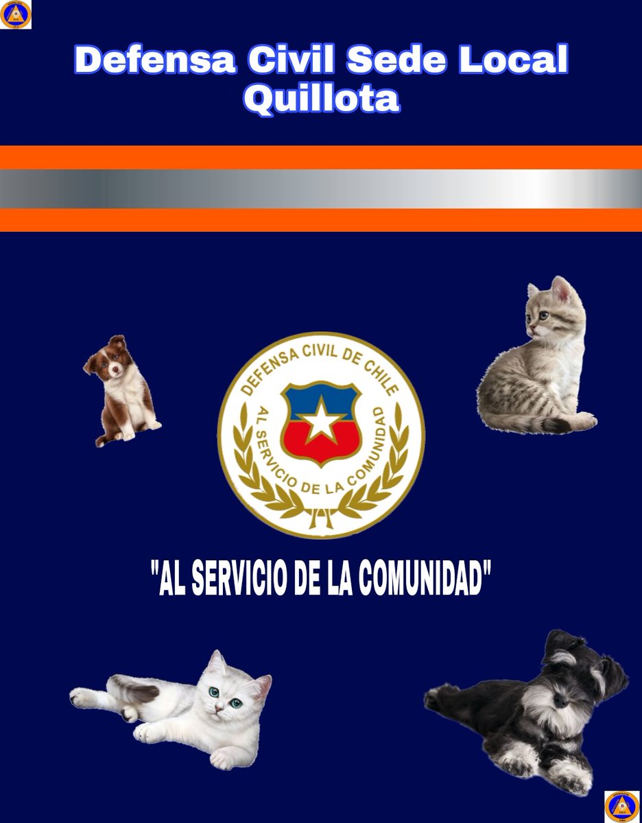 dcquillota's tweet photo. Cuidado De Nuestras mascotas este 18.

Síguenos En nuestra pagina Oficial de #Facebook

https://t.co/0r56LabX28

RT COMPARTE!! https://t.co/bLO4pqq5yC