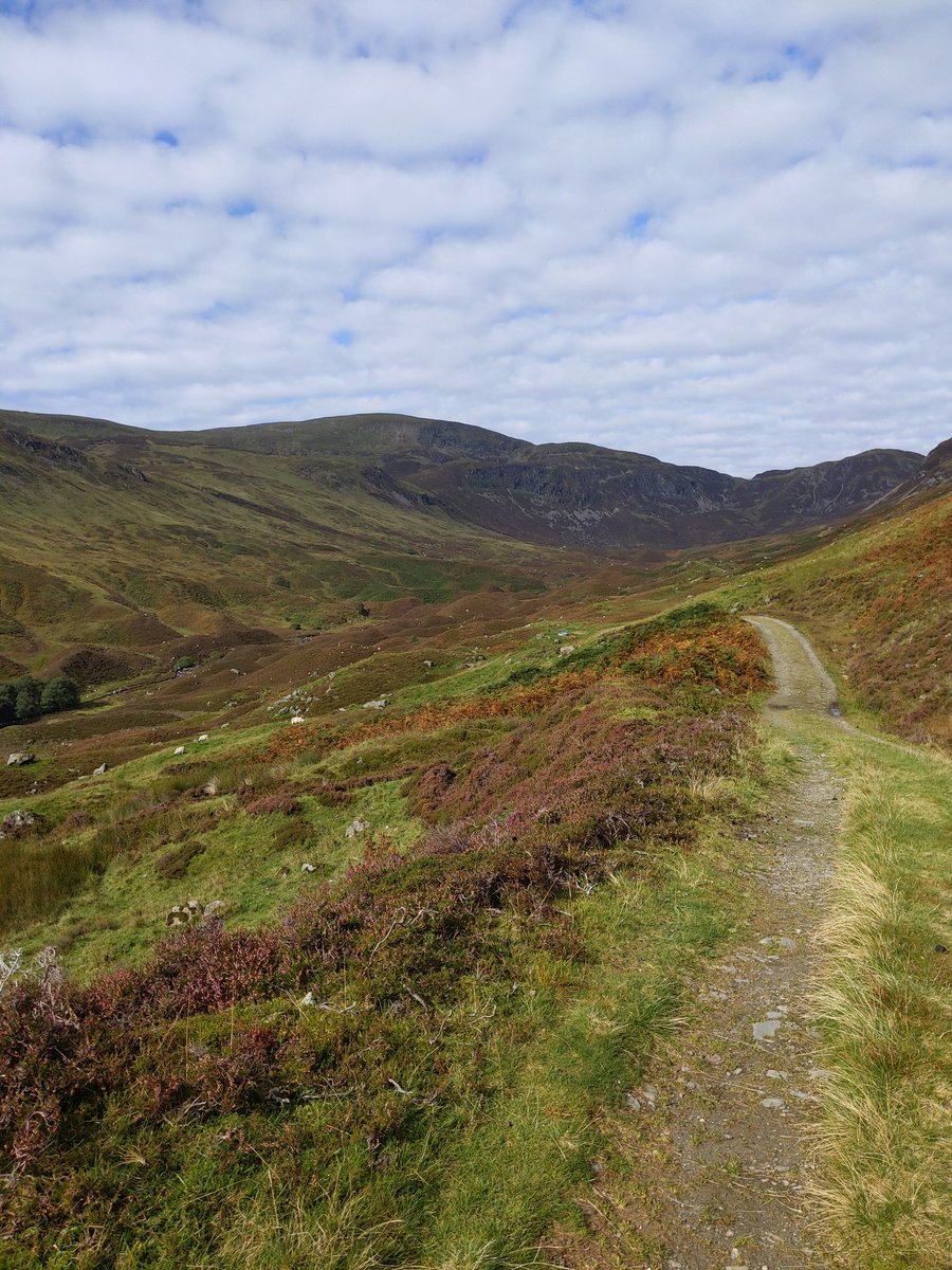 HelSingleton's tweet photo. Ben Chonzie - walk along Loch Turret up to the top of the world #escapetoscotland #lookupmore #beautifulday #strenuous🥾 https://t.co/Q8l2phj6MX