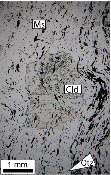petrochronics's tweet photo. Look who arrived late in the foliation: the post-tectonic chloritoid from the cld and ky-bearing muscovite schist from the Southern Brasília Orogen in the Luminárias Nappe. Contribution by the PhD student Regiane Fumes from Unesp @FumesRegiane DOI: 10.1590/2317-4889201920180114 https://t.co/5DG7ngddZW
