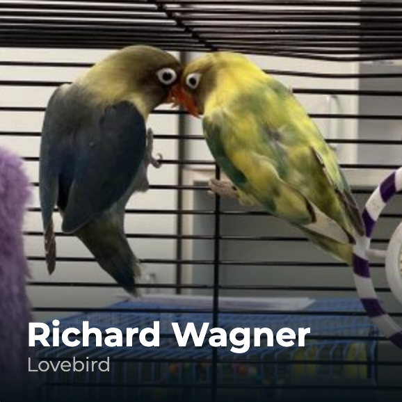 I'm fond of this parrot just named.... Richard Wagner.
