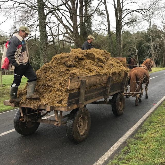 Terminó la pega y  nos vamos a celebrar con la familia estas Fiestas Patrias! 🇨🇱QUEREMOS A NUESTRO CHILE Y POR ESO LO QUEREMOS SANO ! 🇨🇱 seamos responsables y cuidadosos! podemos pasarlo bien respetando las normas sanitarias!  Ya vendrán celebraciones a lo grande!  #chileesunico