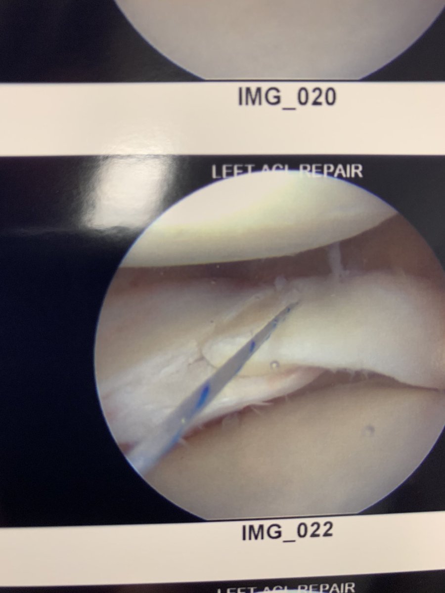 Michael Alaia, M.D tweet media