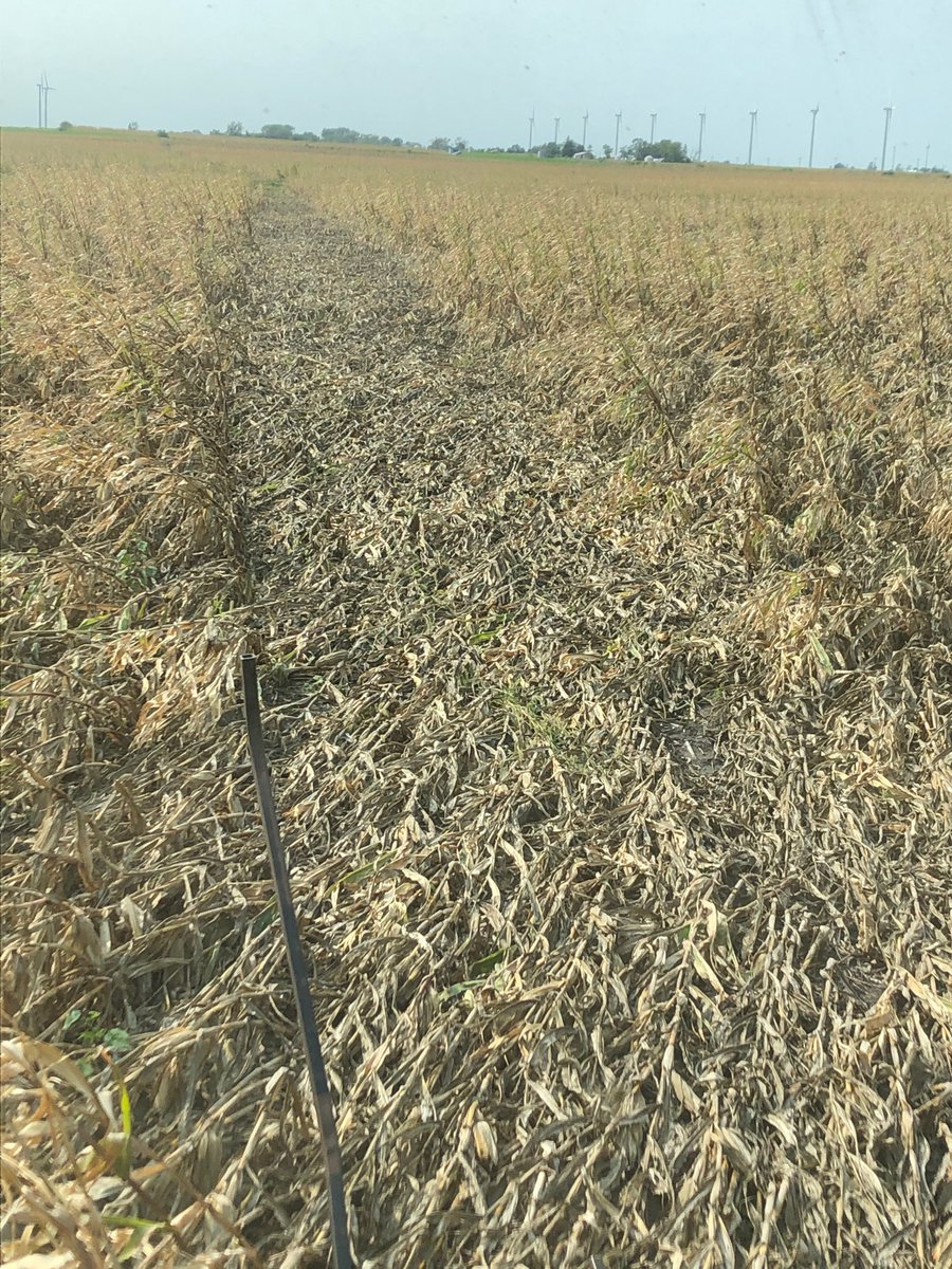 When a derecho blows the neighbors grain bin through your field.