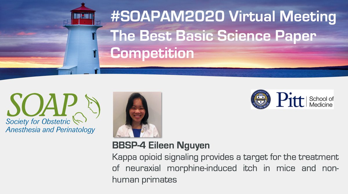 SOAPHQ's tweet image. Abstract #4 • Eileen Nguyen •
Kappa opioid signaling provides a target for the treatment of neuraxial morphine-induced itch in mice and non-human primates #BestPaper #SOAPAM2020 #OBAnes