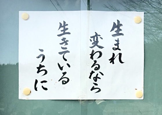 フィフィ 生まれ変わるなら 生きているうちに T Co 5p9gl0lzcn Twitter フィフィ 生まれ変わるなら 生きているうちに T Co 5p9gl0lzcn Twitter