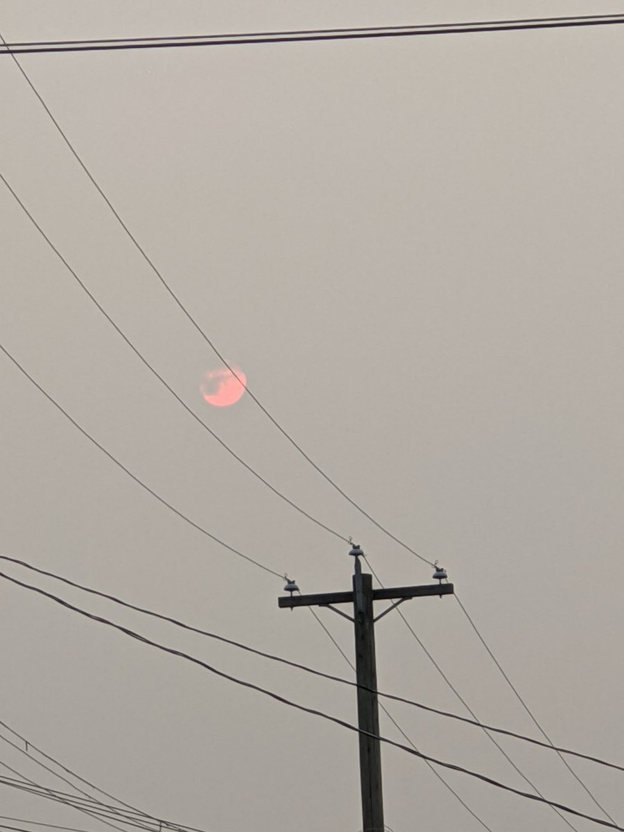 DavidChenTweets's tweet photo. I think we are improving smoke wise. Nice to feel warmth on my skin while out working today. #2020Fires https://t.co/5Uuh5rVpIp