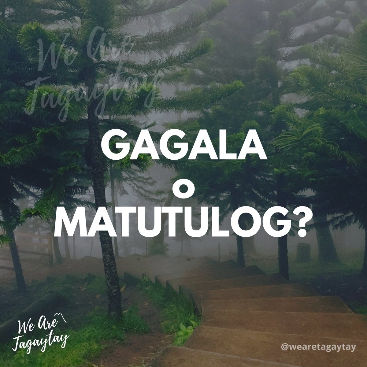 WeAreTagaytay's tweet photo. Bed weather everyday. 🛌 Only in Tagaytay 😁 https://t.co/07A8psPnr8 https://t.co/utkqgYlESZ