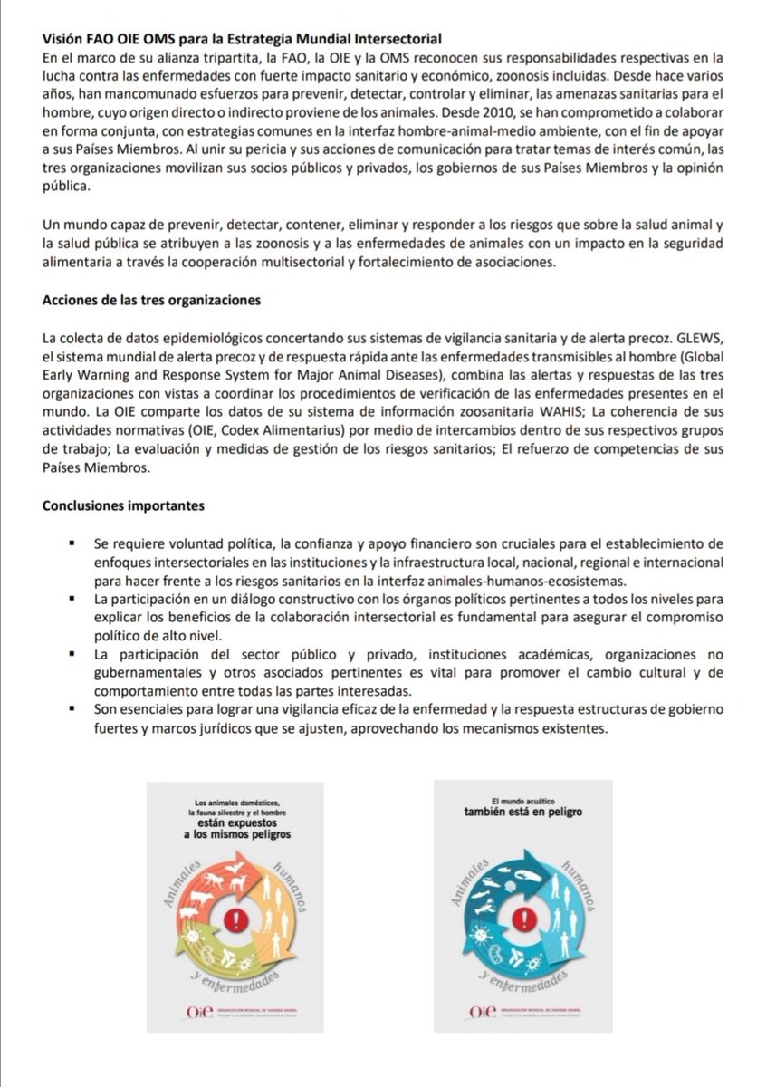 MdicoVe1's tweet photo. #LEYMÉDICOSVETERINARIOS Ley de Trabajo del Profesional de la Salud Médico Veterinario @congresoperu @ManuelMerinoDe @LuisValdezF @mt_cabrera @arrieroperu @ColumbusOpina @rennanespinoza @DUrresti @danielfolivares https://t.co/GvNDX9oEhY