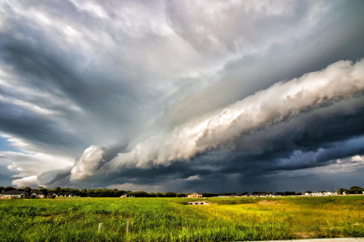 Ronnie Prcin tweet media