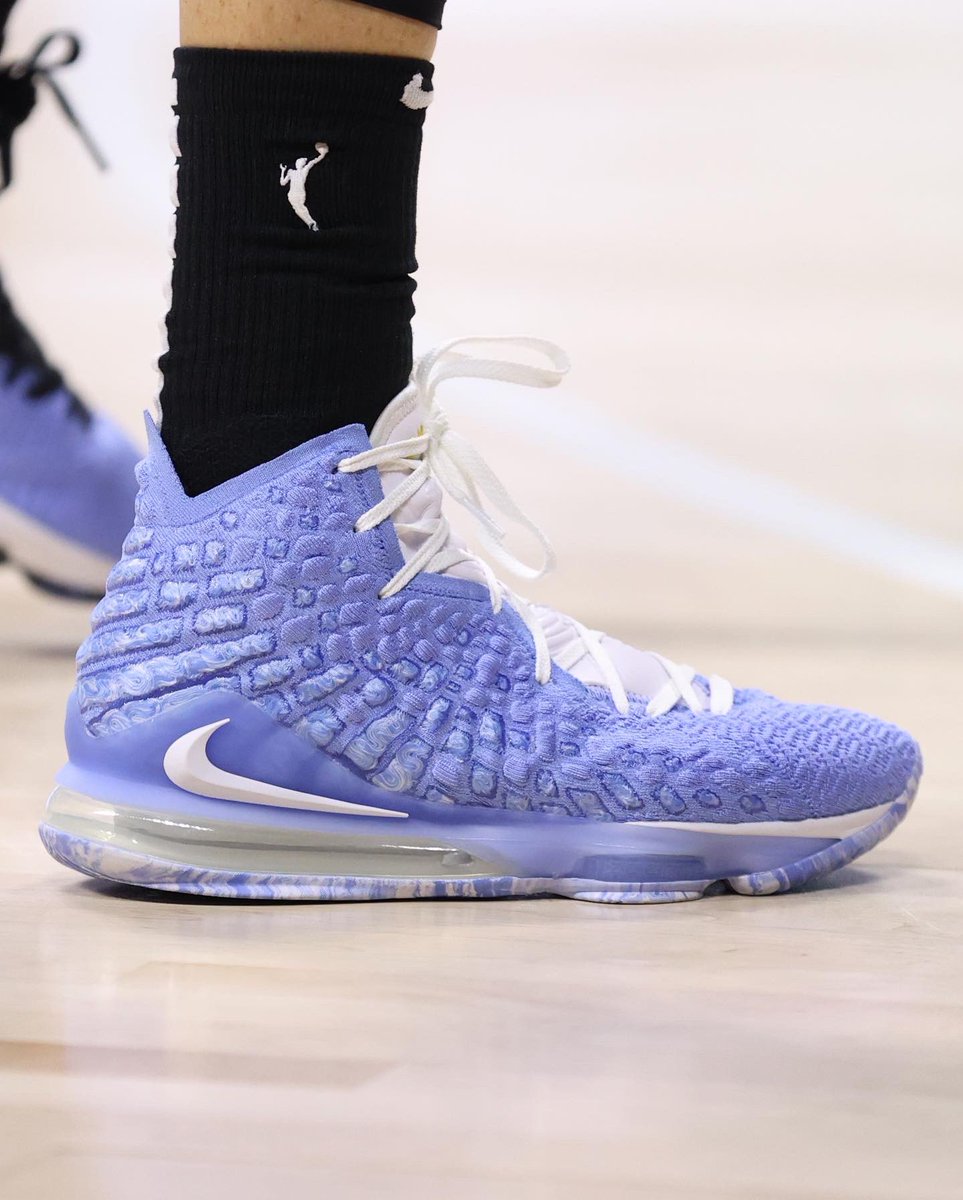 nike lebron 17 pe