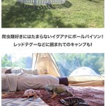 ツイートに含まれる画像