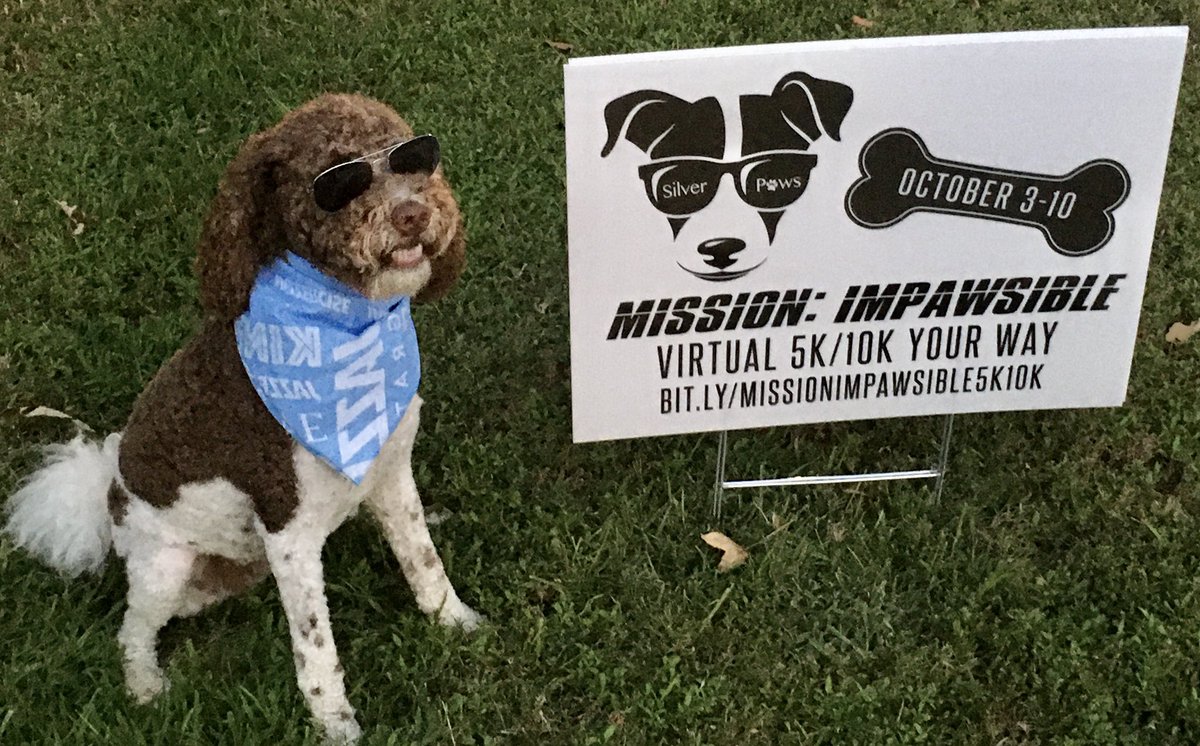 Silver_Paws_TX's tweet photo. Seger is ready! Have you registered? https://t.co/ksODuw5Mf2