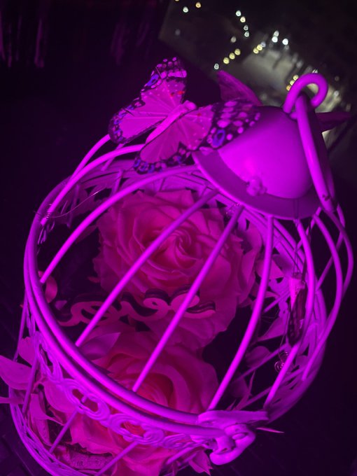 Today I received a surprise from anonymous  In love with roses 🥀  Thank you❤️ https://t.co/vPOKPSlwk