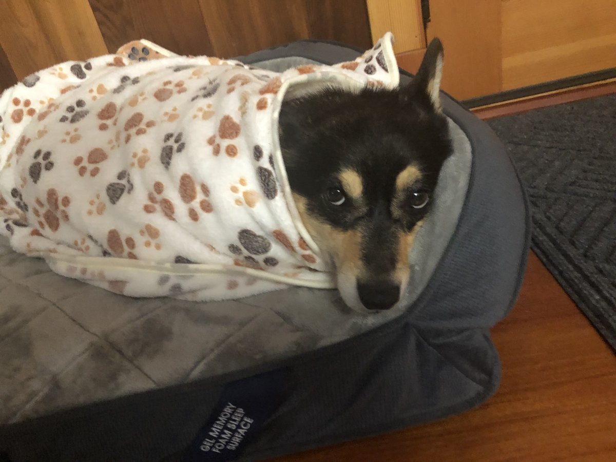 Stephen King tweet media