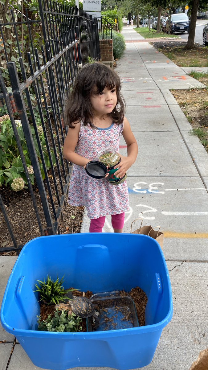 georgina_in_dc's tweet photo. While we cannot spend time in each other’s houses our #jowilsonstatue classroom pet can!  Buddy has a big job these days, he is helping us build our online community. Classroom pets are more important then ever! @JOWilsonDC @PetsinClassroom (and in homes) https://t.co/3GF3jNblm8