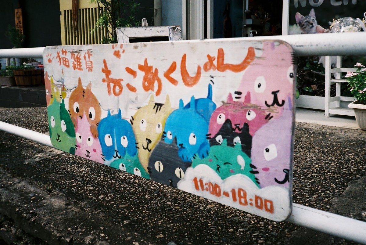 kooo_yeah's tweet photo. フィルムカメラほど始めやすい写真ライフは無いと思う。

そしてどれほどの無垢な人たちを
沼へ葬ってきたのか。。

考えただけでも、ワクワクする

#キリトリセカイ
#写真好きな人と繫がりたい 
#写真撮ってる人と繋がりたい
#カメラ好きな人と繋がりたい
#ファインダー越しの私の世界 https://t.co/KWWl7woV3B