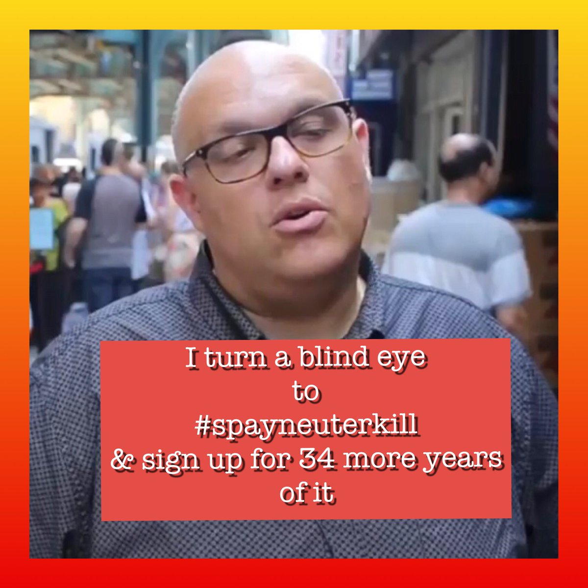 GiveLuckyBack's tweet photo. Please don't forget #AnimalGate.  Did you see the #Audit yesterday  of the #NYCACC  #JustinBrannan plays flag carrier for.  This Kill-Pound represents everything callous, corrupt, and incompetent in #NYC Govt. https://t.co/kCOjTtmA7l