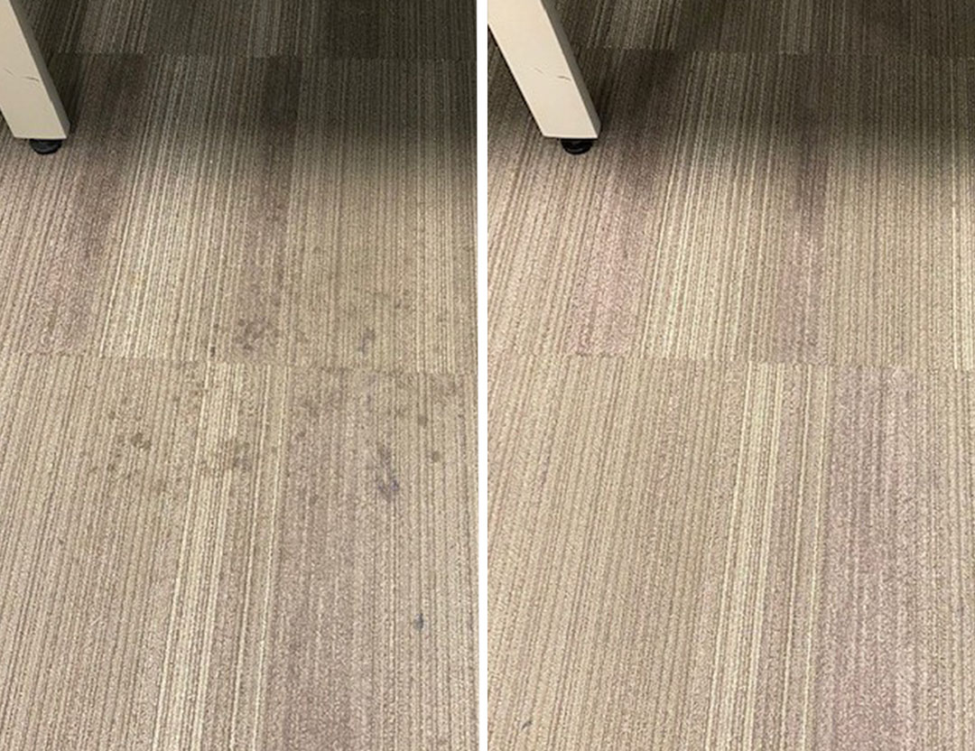 LegendClean's tweet photo. Customer Johnny J. writes: "I ordered some Citrus Crush prespray through Legend Rewards and loved it!! It’s strong too. I only use 1 scoop in my prespray and it’s strong enough. Very happy. Here's a picture of a carpet I cleaned." https://t.co/lB69c7Znjc #LegendClean #Prochem https://t.co/niqv5Eg0BC