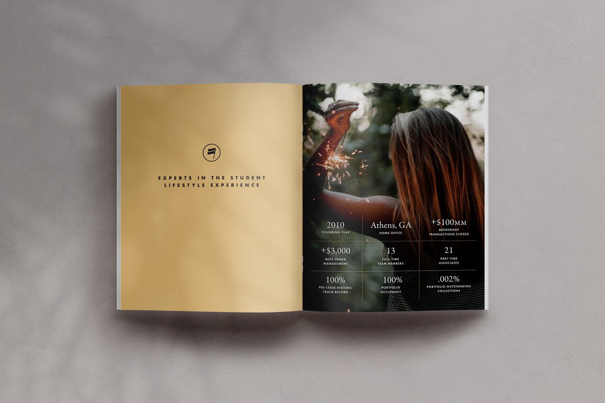 B2B 12-page brochure /// work in progress